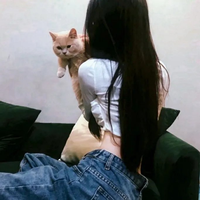 心灵的深夜对话